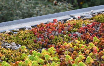 the cost of Austhorpe green roof installation