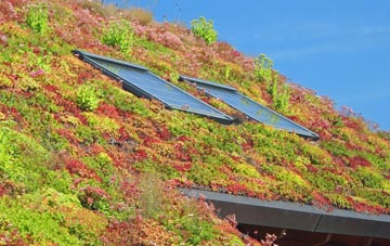 Austhorpe living roof systems